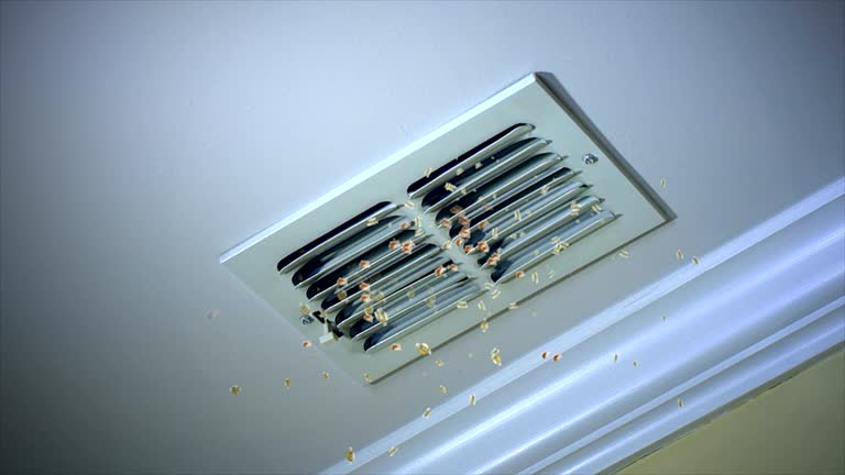 Best Emergency Air Duct Cleaning  in Alderton, WA