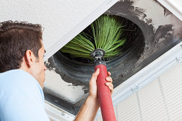 Best Affordable Duct Cleaning Services  in Alderton, WA